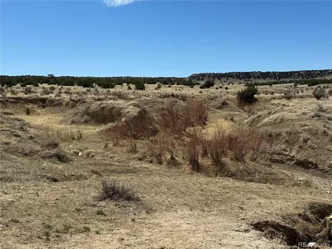 60152 County Rd 78, Model, CO 81059 photo 3