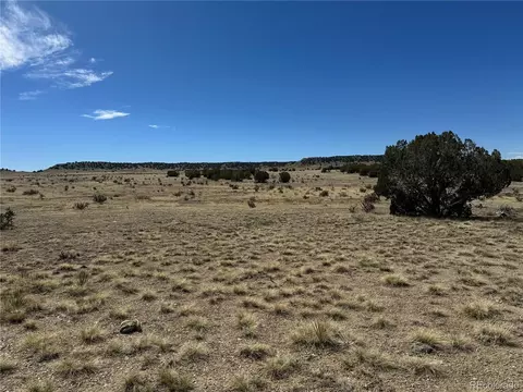 60152 County Rd 78, Model, CO 81059 photo 5