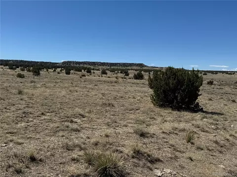 60152 County Rd 78, Model, CO 81059 photo 6