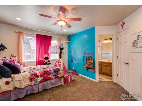 210 Ruth Ave, Severance, CO 80546 photo 21