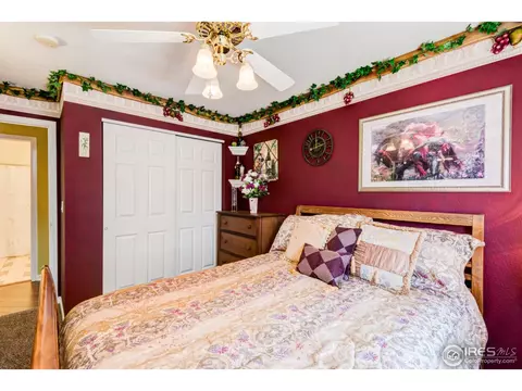 210 Ruth Ave, Severance, CO 80546 photo 19