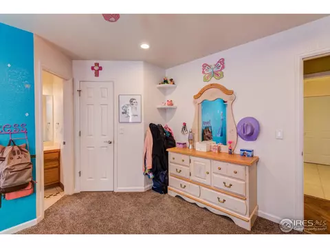 210 Ruth Ave, Severance, CO 80546 photo 24
