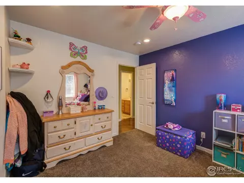 210 Ruth Ave, Severance, CO 80546 photo 23