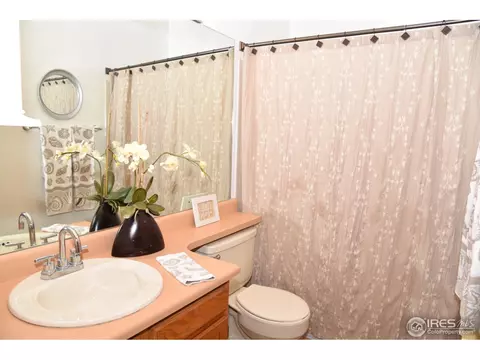 10571 Eudora Way, Thornton, CO 80233 photo 19