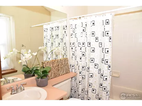 10571 Eudora Way, Thornton, CO 80233 photo 15