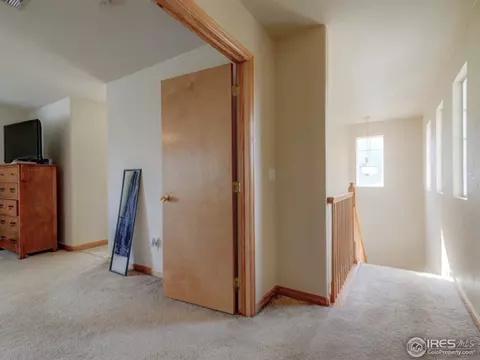 1922 E 164th Pl, Thornton, CO 80602 photo 16