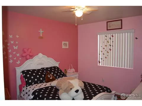 3214 Grenache St, Evans, CO 80634 photo 23