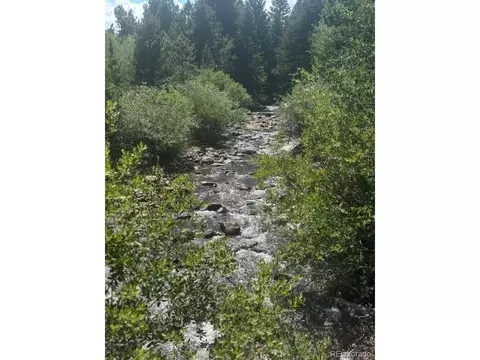 105 Caribou St, Nederland, CO 80466