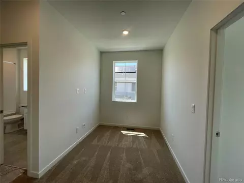 5536 Second Ave, Timnath, CO 80547 photo 10