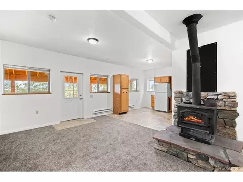 Living - 88 Cedar Ln, Bailey, CO 80421 photo 4 of 7