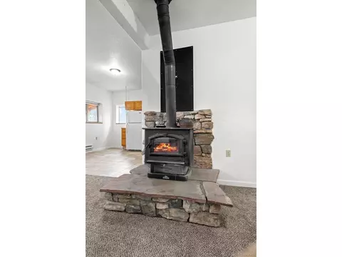 Living - 88 Cedar Ln, Bailey, CO 80421 photo 2 of 7