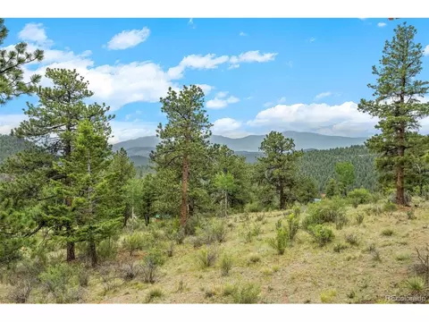 Other - 88 Cedar Ln, Bailey, CO 80421 photo 10 of 10