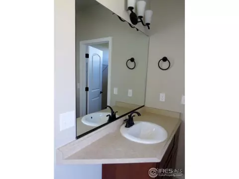 886 Corn Stalk Dr, Windsor, CO 80550 photo 15
