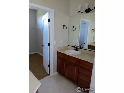 886 Corn Stalk Dr, Windsor, CO 80550 photo 14