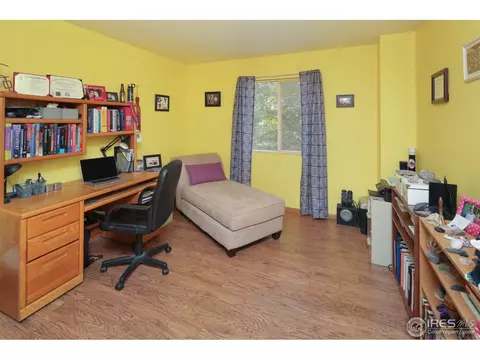 779 2nd St, Windsor, CO 80550 photo 11
