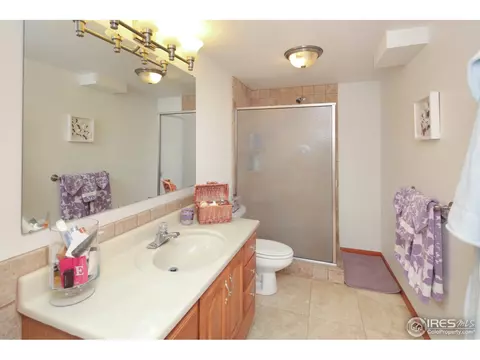 779 2nd St, Windsor, CO 80550 photo 16