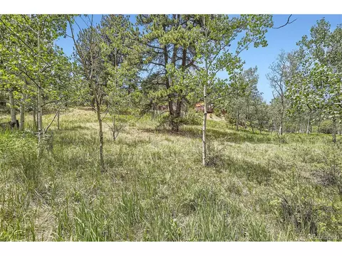 539 Neal Rd, Bailey, CO 80421 photo 26