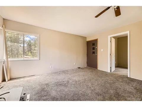 539 Neal Rd, Bailey, CO 80421 photo 5