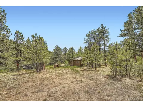 539 Neal Rd, Bailey, CO 80421 photo 22