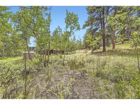 539 Neal Rd, Bailey, CO 80421 photo 25