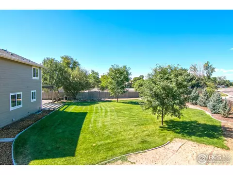 18 Orchid Ct, Windsor, CO 80550 photo 15