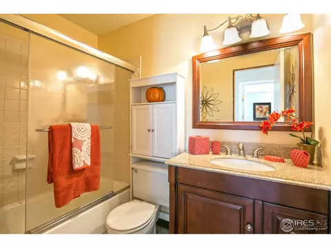 18 Orchid Ct, Windsor, CO 80550 photo 8