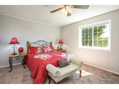 18 Orchid Ct, Windsor, CO 80550 photo 7
