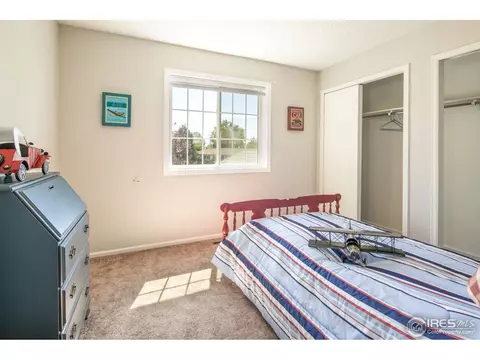 18 Orchid Ct, Windsor, CO 80550 photo 10