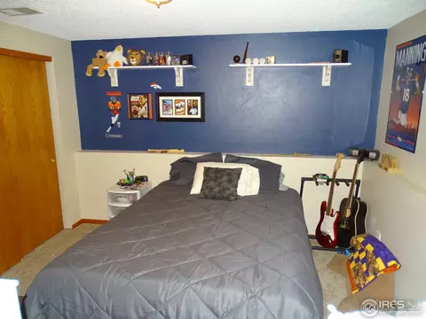 2866 E 115th Way, Thornton, CO 80233 photo 20