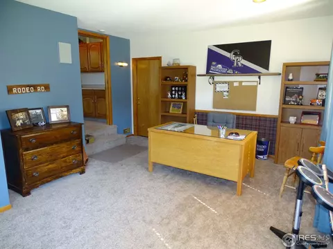 2866 E 115th Way, Thornton, CO 80233 photo 9