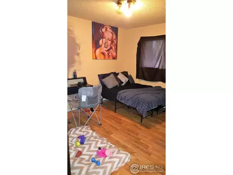 2584 E 98th Way, Thornton, CO 80229 photo 18