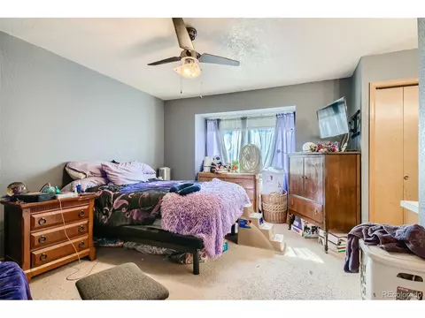 407 N 8th Ave, Brighton, CO 80601 photo 8