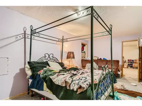 407 N 8th Ave, Brighton, CO 80601 photo 15