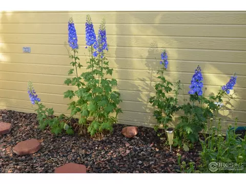 350 63rd Ave, Greeley, CO 80634 photo 6
