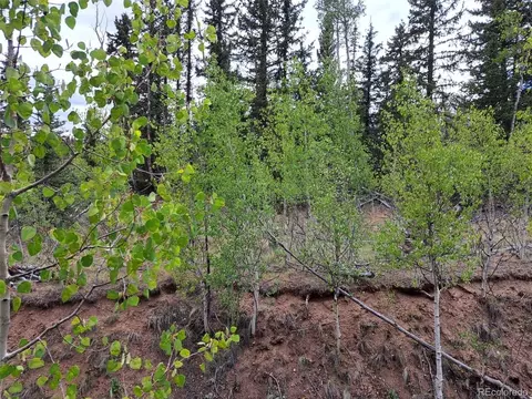 6206 Remington Rd, Como, CO 80432 photo 2