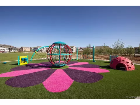1663 Sundown Run Dr, Windsor, CO 80550 photo 9