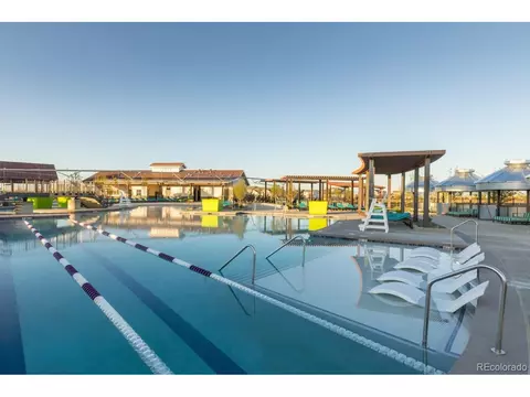 1663 Sundown Run Dr, Windsor, CO 80550 photo 10