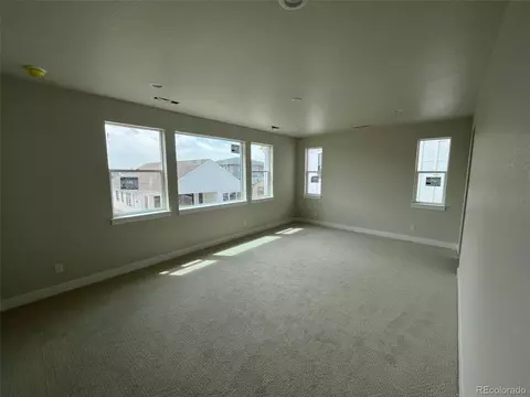 1663 Sundown Run Dr, Windsor, CO 80550 photo 5
