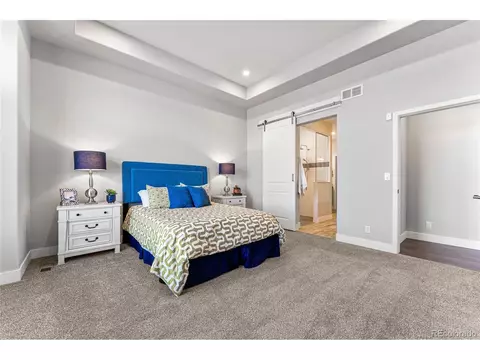 20319 E 53rd Dr, Denver, CO 80249 photo 15