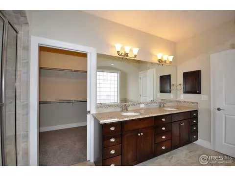 6793 Silver Dollar Ct, Timnath, CO 80547 photo 29