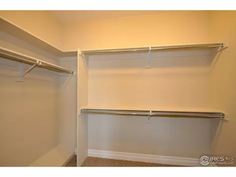 6793 Silver Dollar Ct, Timnath, CO 80547 photo 31