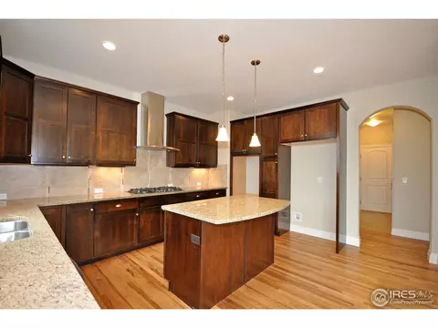 6793 Silver Dollar Ct, Timnath, CO 80547 photo 15