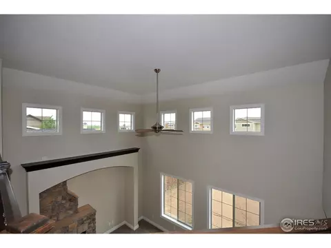 6793 Silver Dollar Ct, Timnath, CO 80547 photo 33