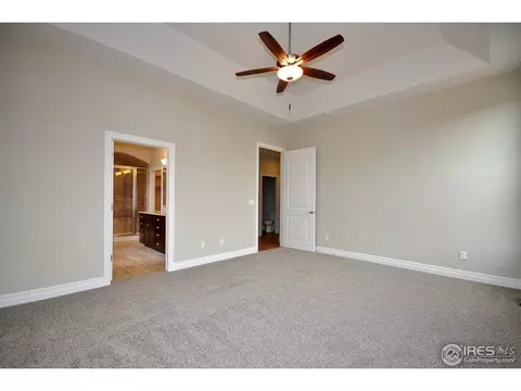 6793 Silver Dollar Ct, Timnath, CO 80547 photo 26
