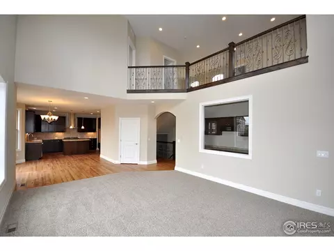 6793 Silver Dollar Ct, Timnath, CO 80547 photo 9