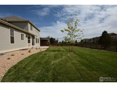 6793 Silver Dollar Ct, Timnath, CO 80547 photo 4