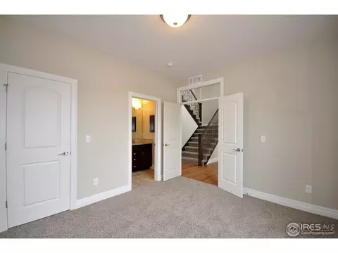 6793 Silver Dollar Ct, Timnath, CO 80547 photo 20