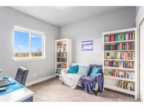 3203 Barbera St, Evans, CO 80634 photo 24