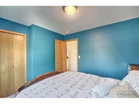 250 Sandstone Ct, Windsor, CO 80550 photo 15