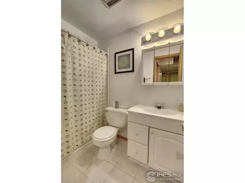 250 Sandstone Ct, Windsor, CO 80550 photo 17